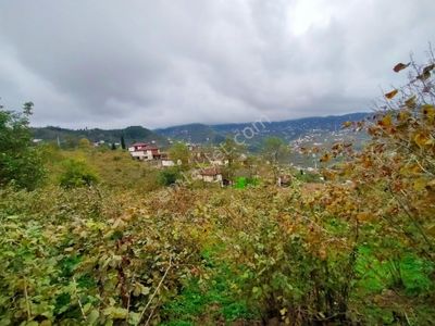 Arsa-Muhtelif Arsa