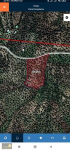 Arsa-Zeytinlik