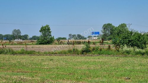Arsa-Tarla