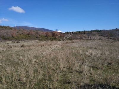 Arsa-Tarla