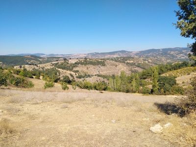 Arsa-Tarla