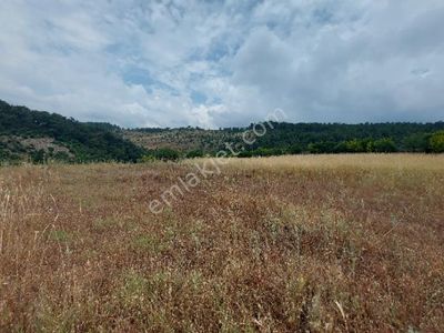 Arsa-Tarla