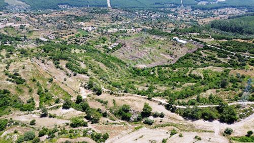 Arsa-Zeytinlik
