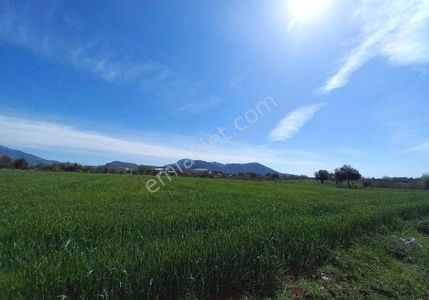 Arsa-Tarla