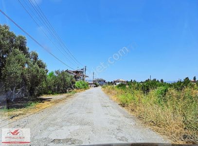 Arsa-Konut İmarlı