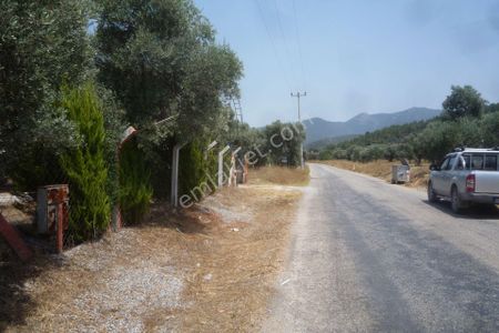 İşyeri-Restaurant