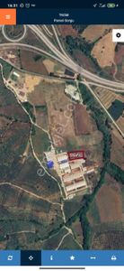 Arsa-Zeytinlik