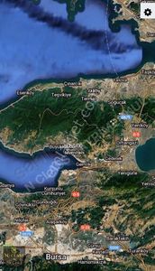 Arsa-Zeytinlik