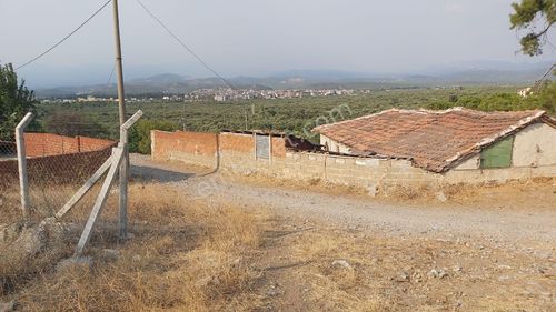 Arsa-Konut İmarlı