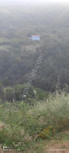 Arsa-Bağ & Bahçe
