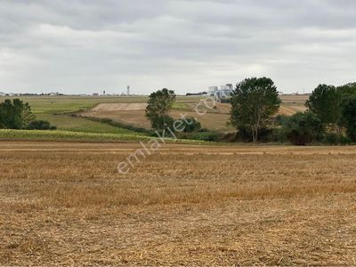 Arsa-Tarla