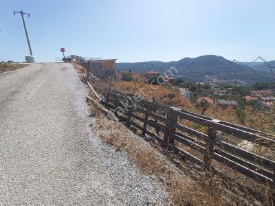 Arsa-Tarla