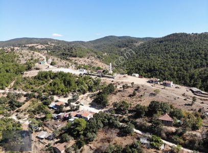 Arsa-Toplu Konut İçin
