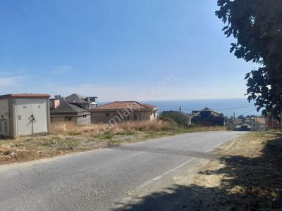 Arsa-Konut İmarlı