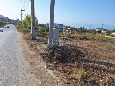 Arsa-Konut+Ticaret Alanı