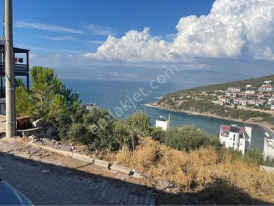 Arsa-Konut İmarlı