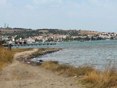 Arsa-Zeytinlik