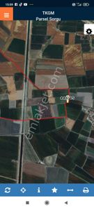 Arsa-Tarla