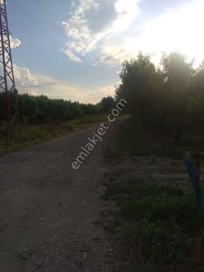Arsa-Bağ & Bahçe