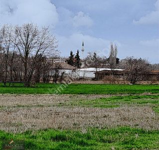 Arsa-Konut İmarlı