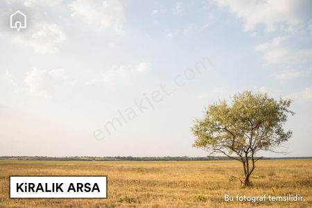 Arsa-Tarla