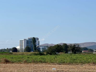 Arsa-Tarla