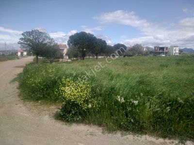 Arsa-Toplu Konut İçin