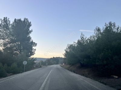 Arsa-Tarla