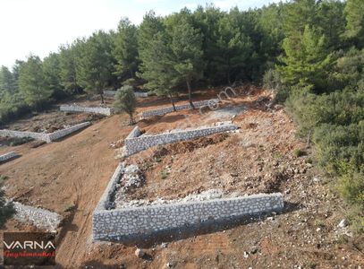 Arsa-Tarla