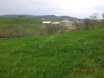 Arsa-Tarla