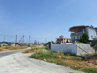 Arsa-Tarla