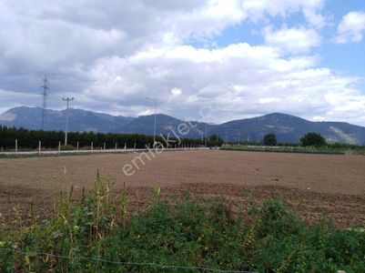 Arsa-Tarla