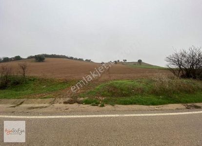 Arsa-Tarla