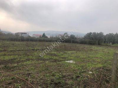 Arsa-Konut İmarlı