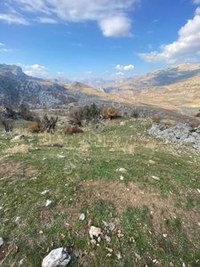 Arsa-Tarla