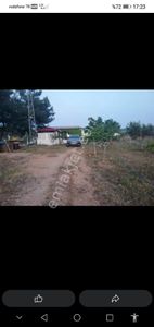 Arsa-Tarla