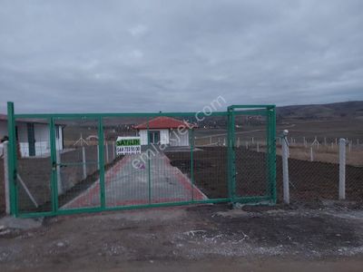Arsa-Bağ & Bahçe