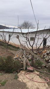 Arsa-Çiftlik
