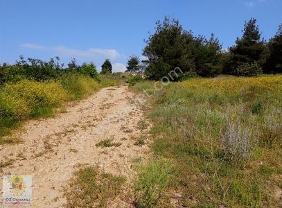 Arsa-Tarla