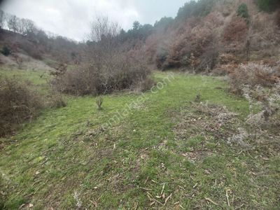 Arsa-Tarla