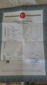 Arsa-Zeytinlik