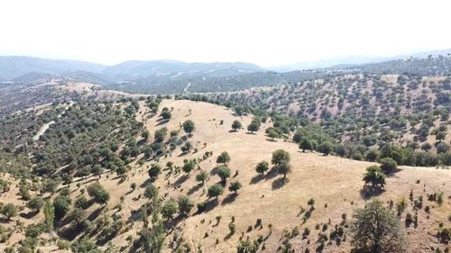 Arsa-Tarla