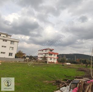 Arsa-Konut İmarlı