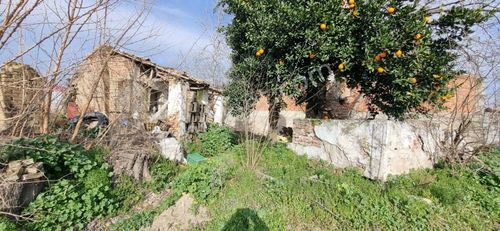 Arsa-Bağ & Bahçe