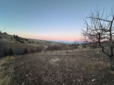 Arsa-Tarla