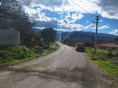 Arsa-Tarla