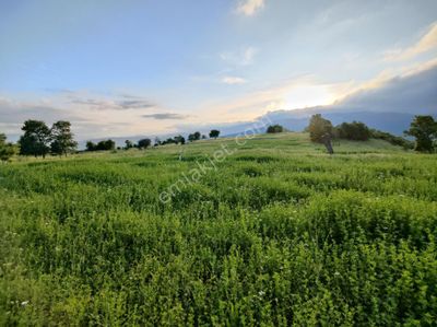 Arsa-Tarla