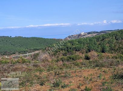 Arsa-Konut İmarlı
