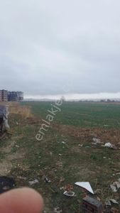 Arsa-Tarla