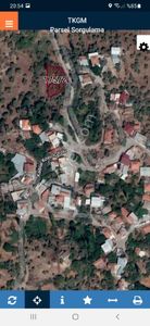 Arsa-Zeytinlik